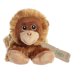 Aurora® - Eco Nation™ - Eco Softies™ - 8" Orangutan