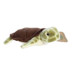 Aurora® - Eco Nation™ - Eco Softies™ - 8" Sea Turtle