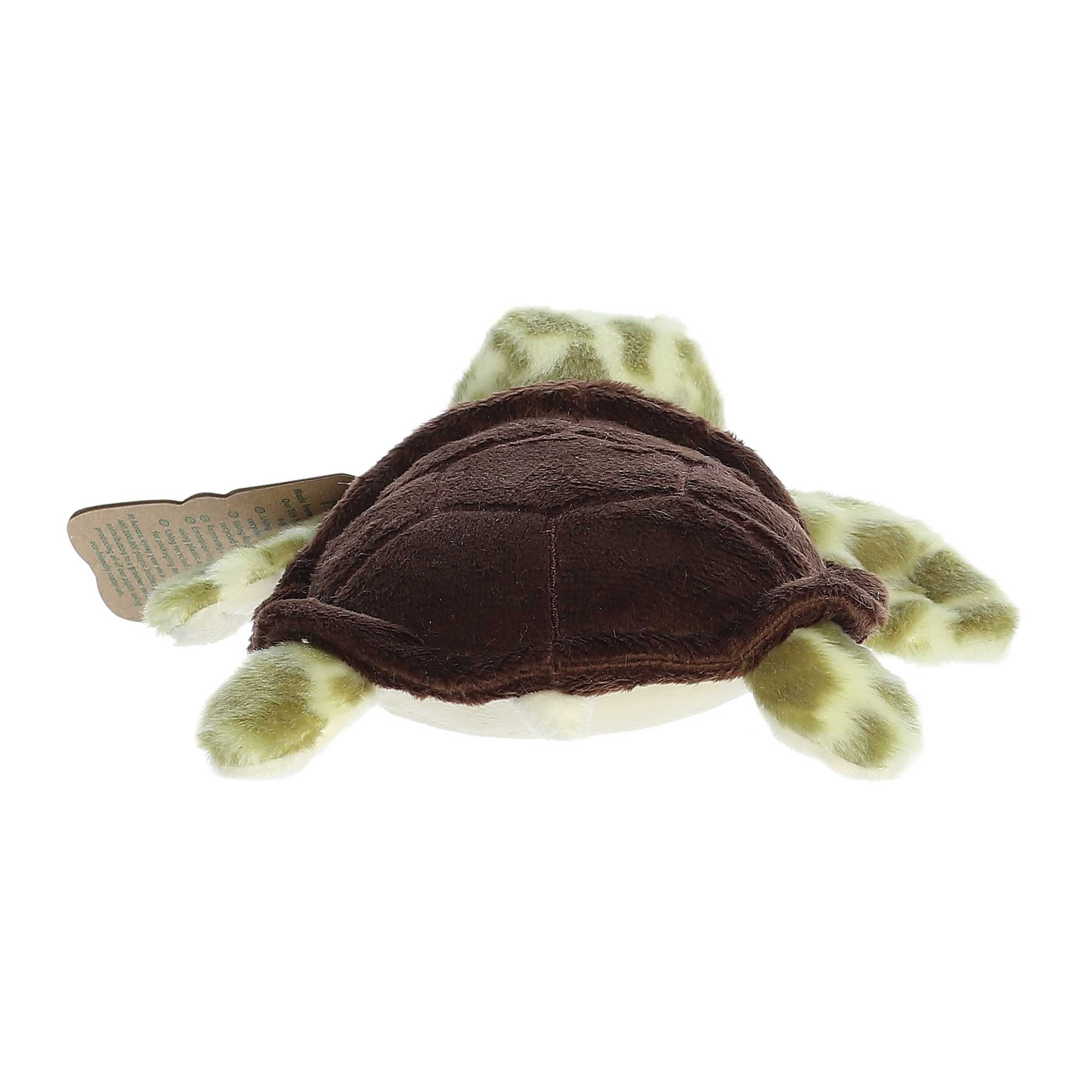 Aurora® - Eco Nation™ - Eco Softies™ - 8" Sea Turtle