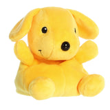 Aurora® - Spot™ - Palm Pal™ - 5" Spot