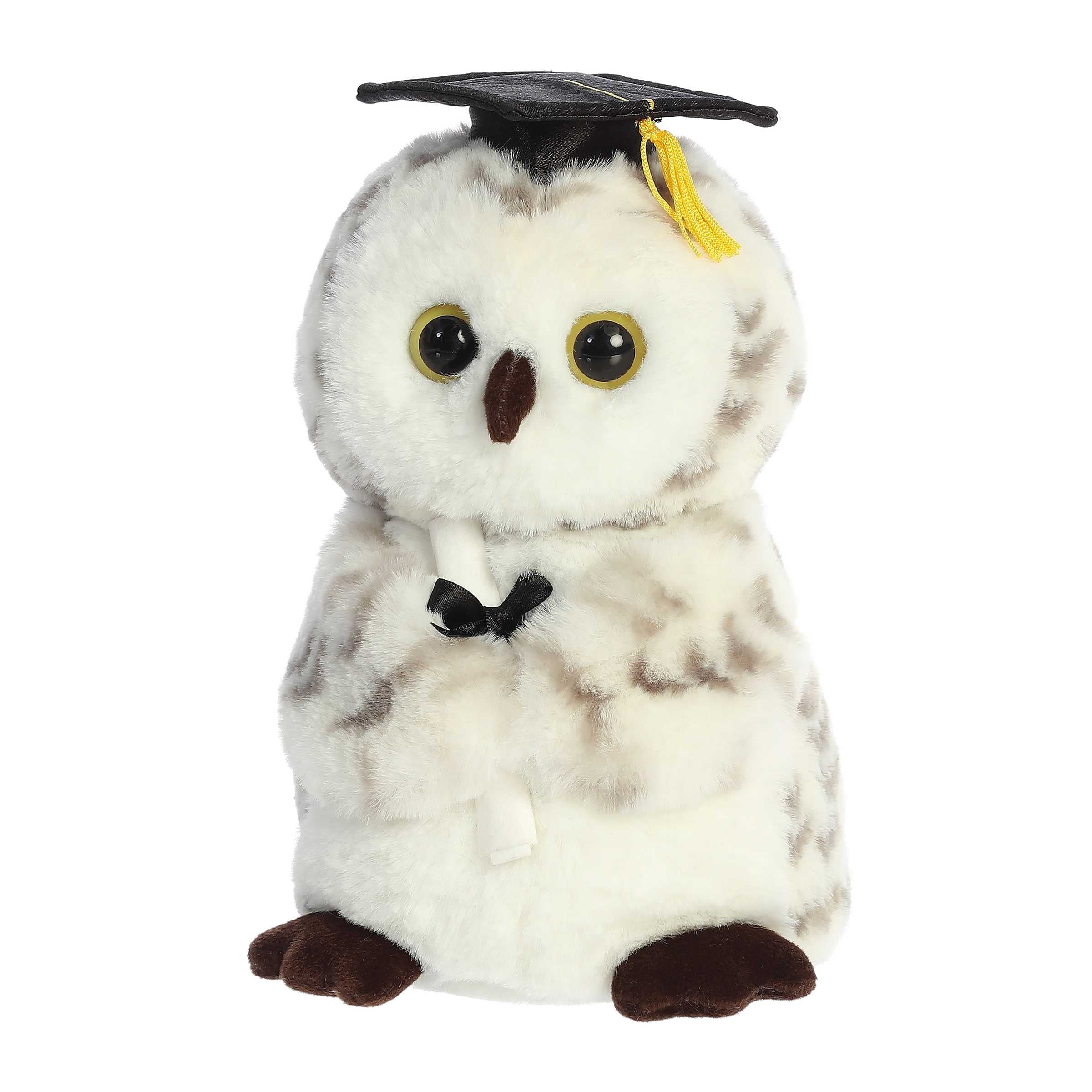 Aurora® - Graduation - 9" Smart Owl™