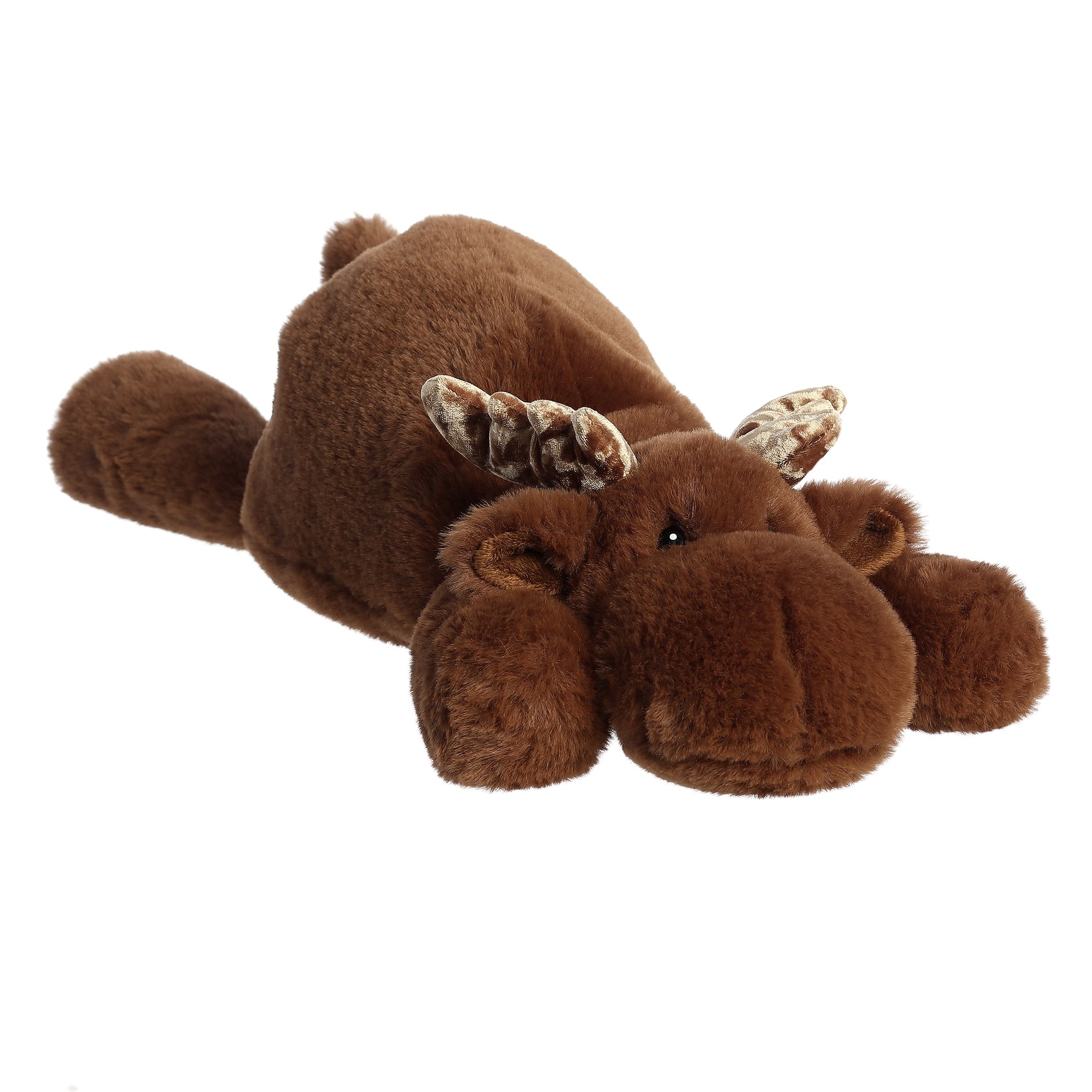 Snoozles™ – Aurora®